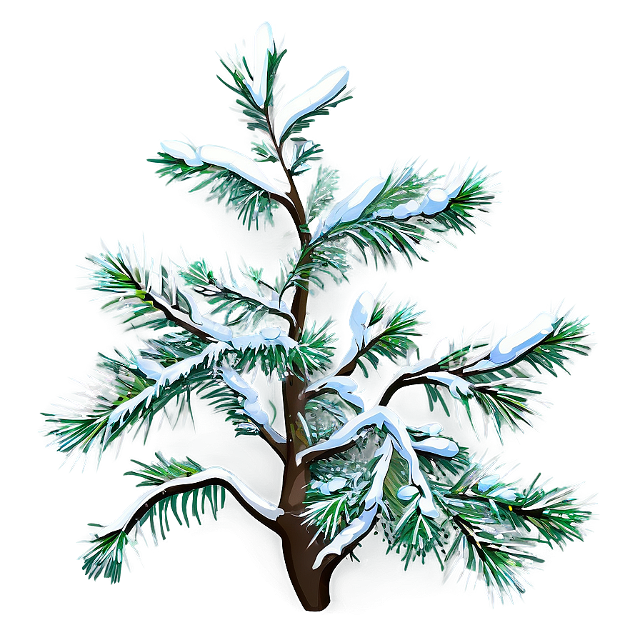 Tree Branches With Snow Png 06282024