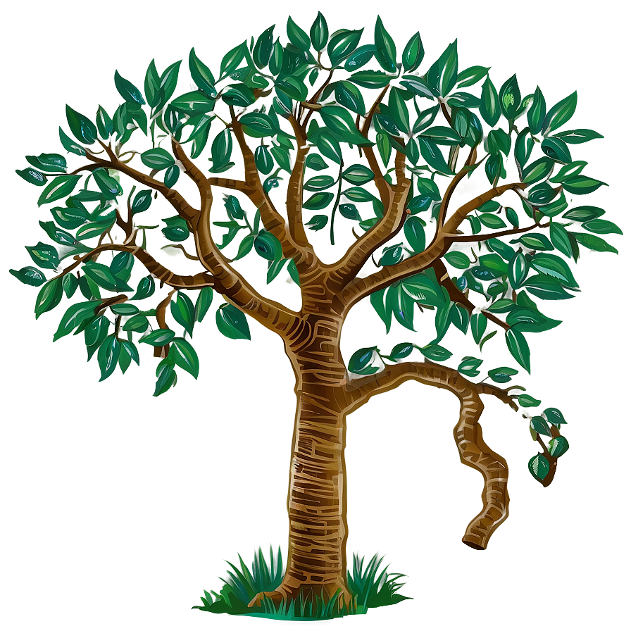 Tree Drawing Png 06122024