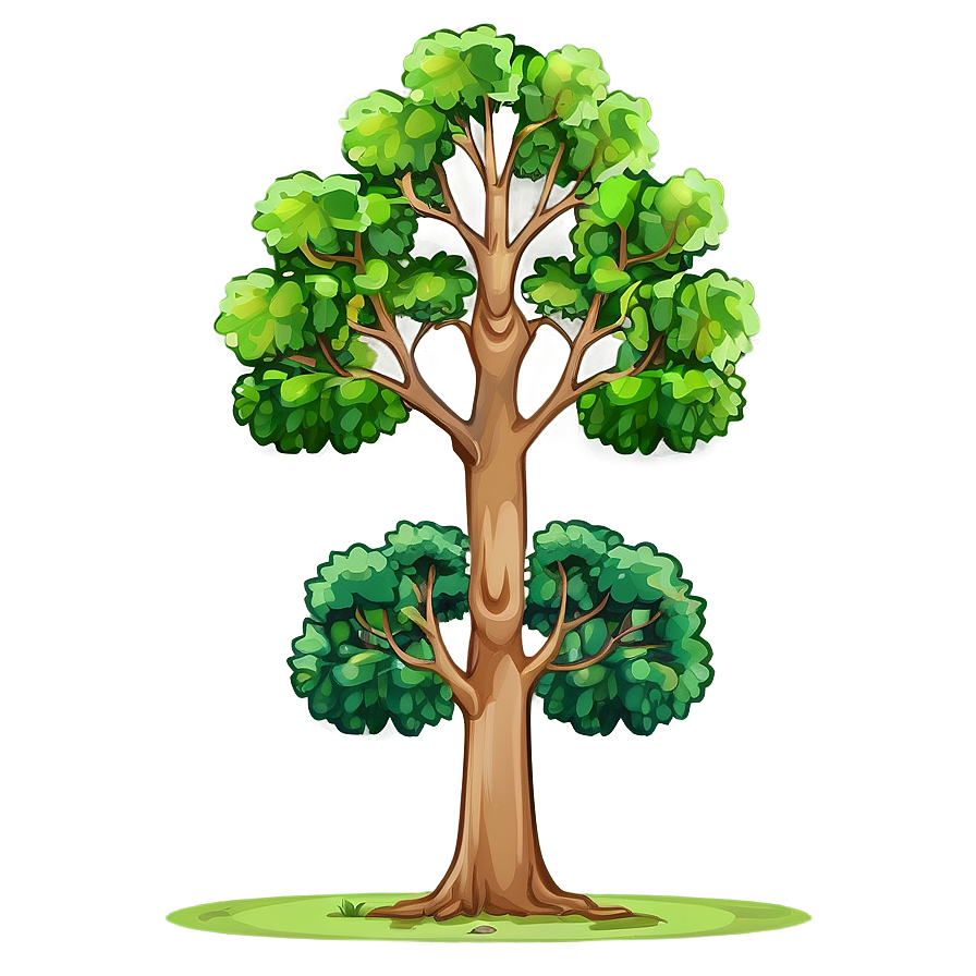 Tree Elevation Png 06262024