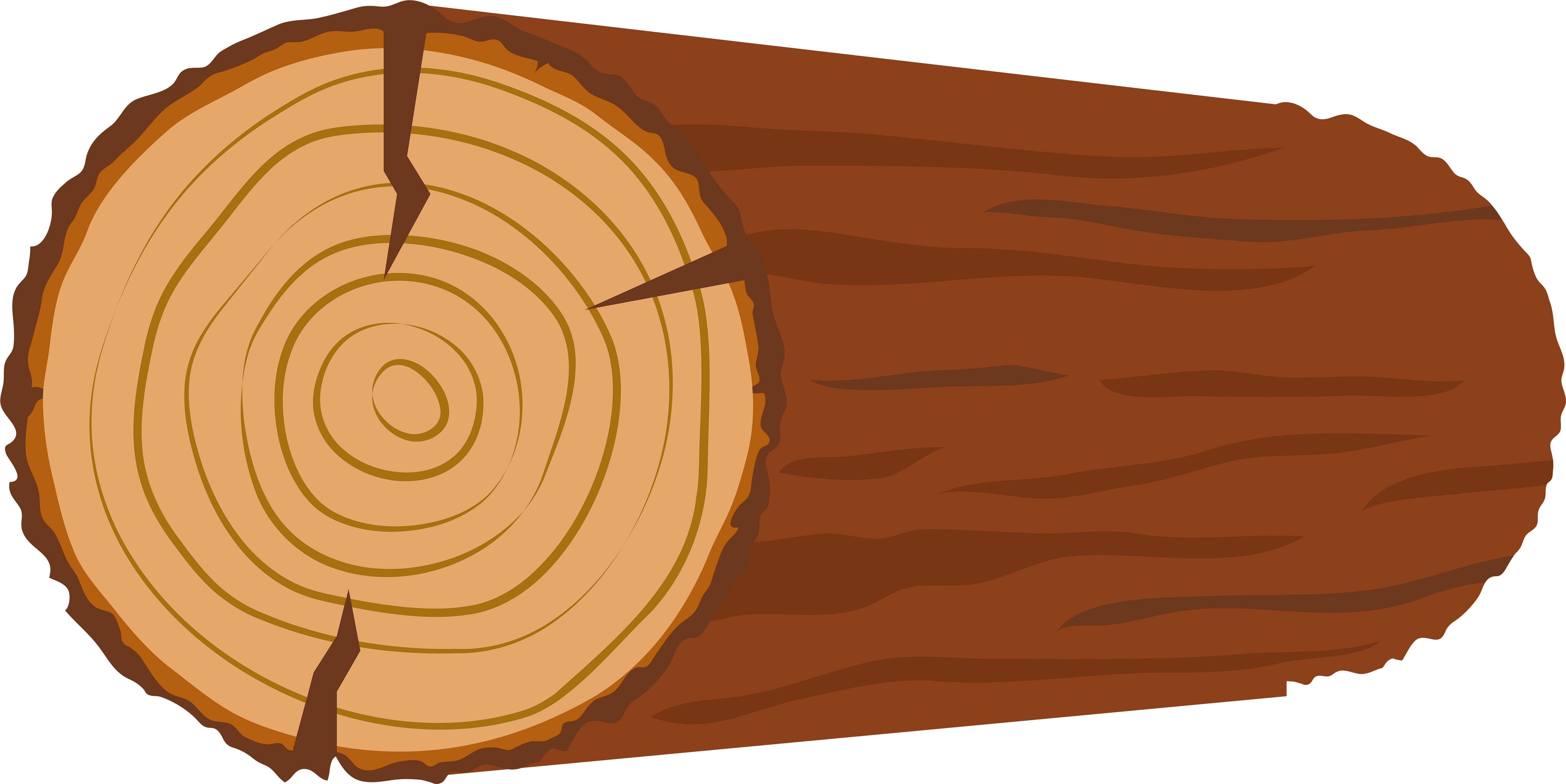 Tree Log Cross Section Illustration PNG with transparent background