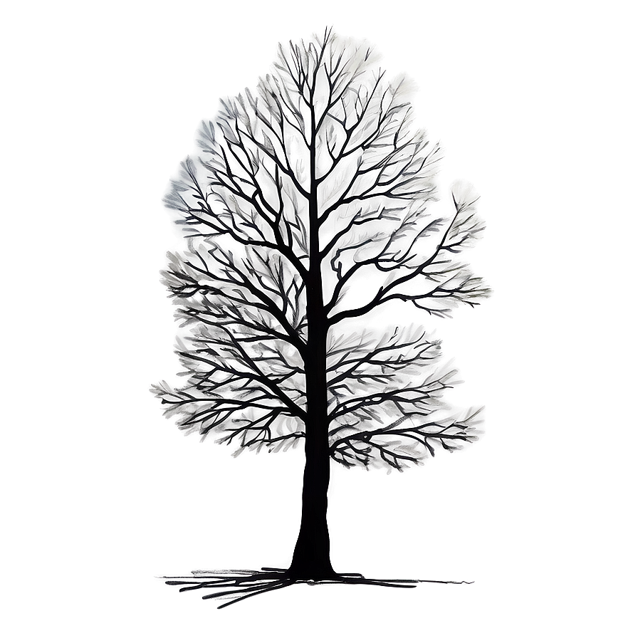 Tree Sketch Png Byv12