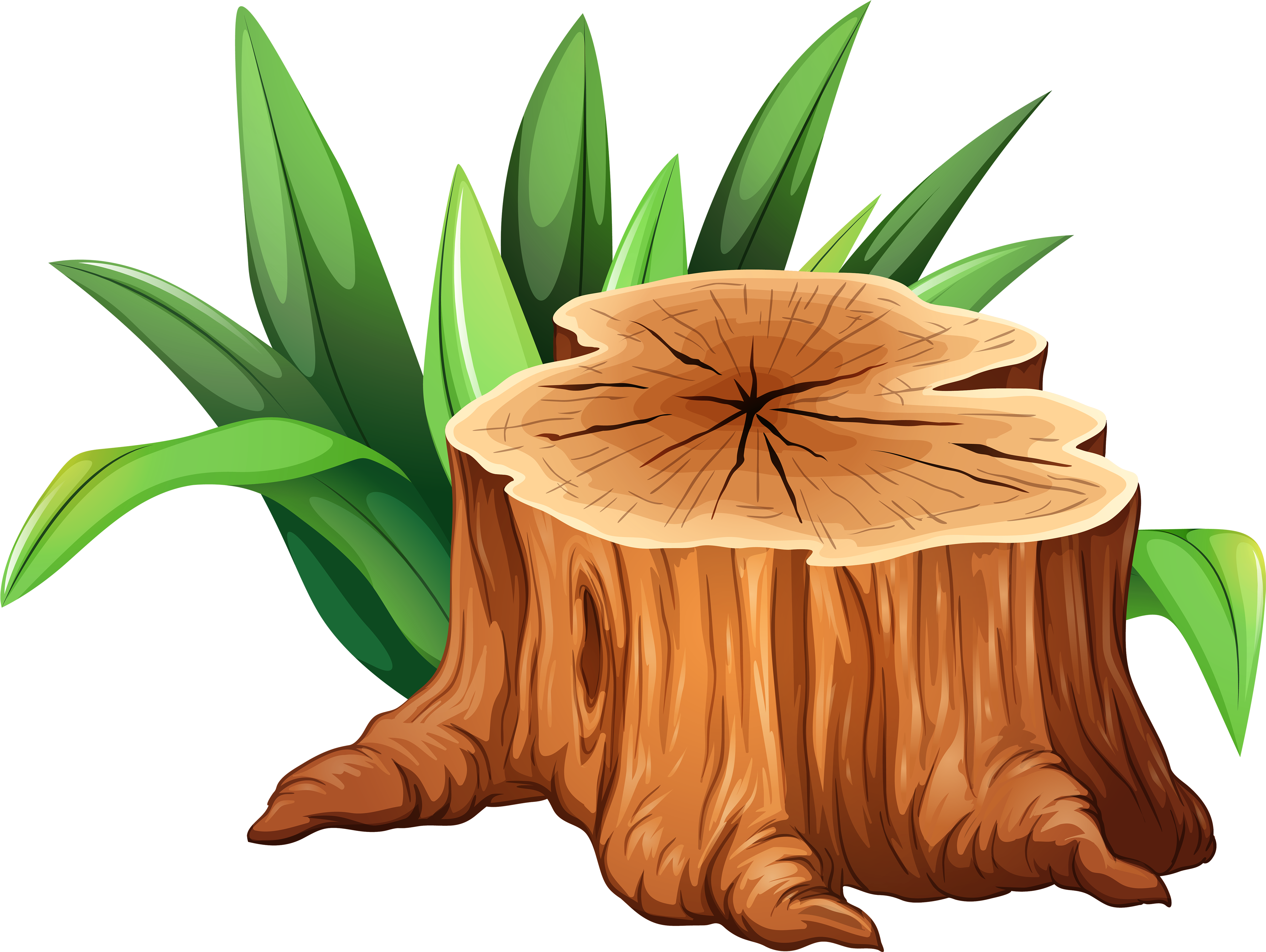 Tree Stump Illustration