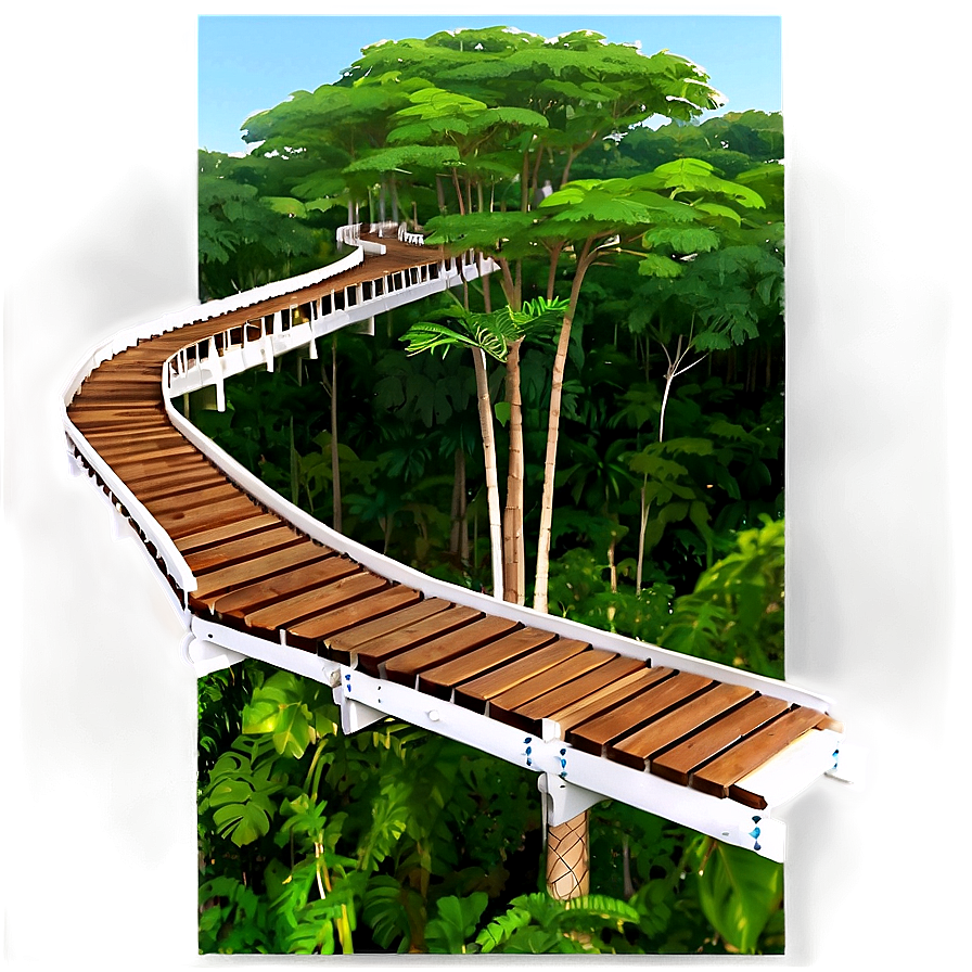 Tree Top Canopy Walkway View Png Rqh