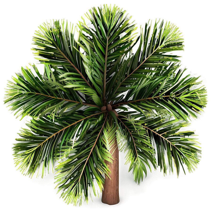 Tree Top View Clipart Png 06122024