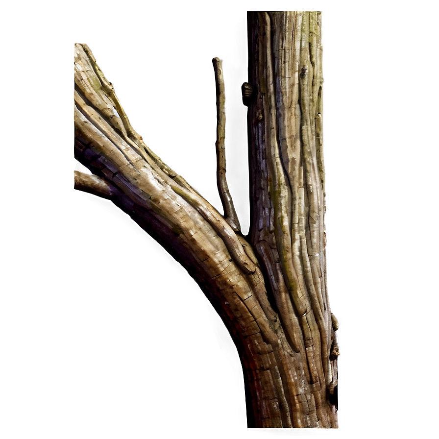 Tree Trunk Detail Png 2