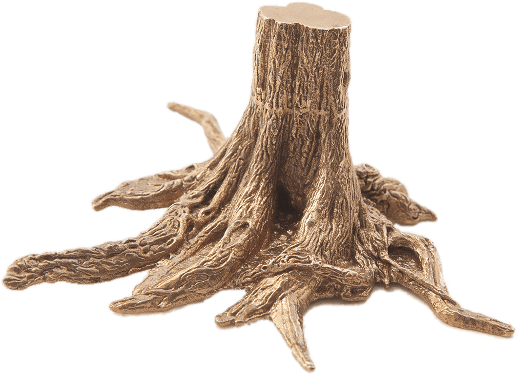 3d Tree Trunk With Roots - Tree Stump With Roots, HD Png Download PNG with transparent background