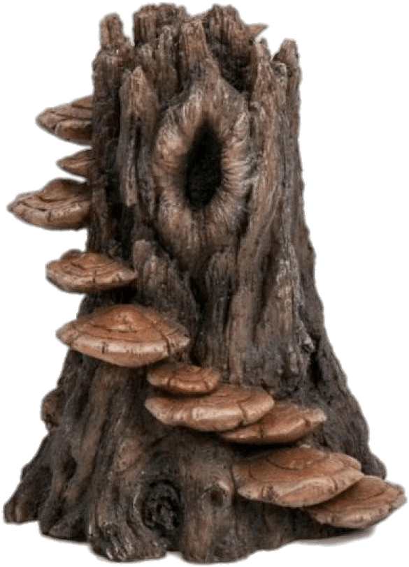 Tree Trunk With Mushroom Steps - Mushroom Steps On Tree, HD Png Download PNG with transparent background