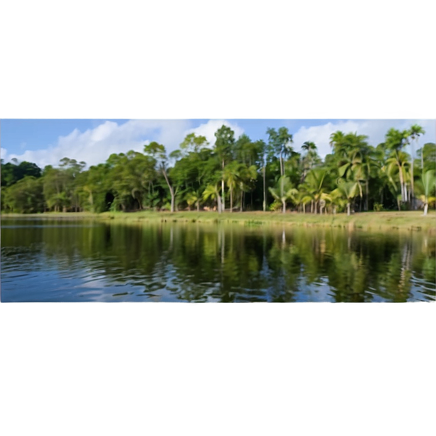 Treeline Along Riverbank Png Deg