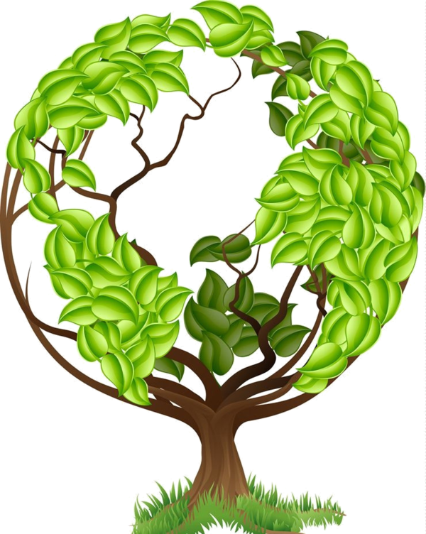 Tree_of_ Life_ Green_ Leaves PNG with transparent background