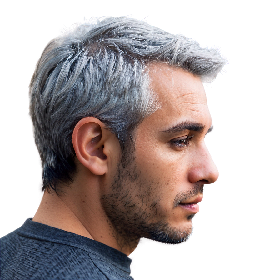 Trendy Gray Hair Png 83