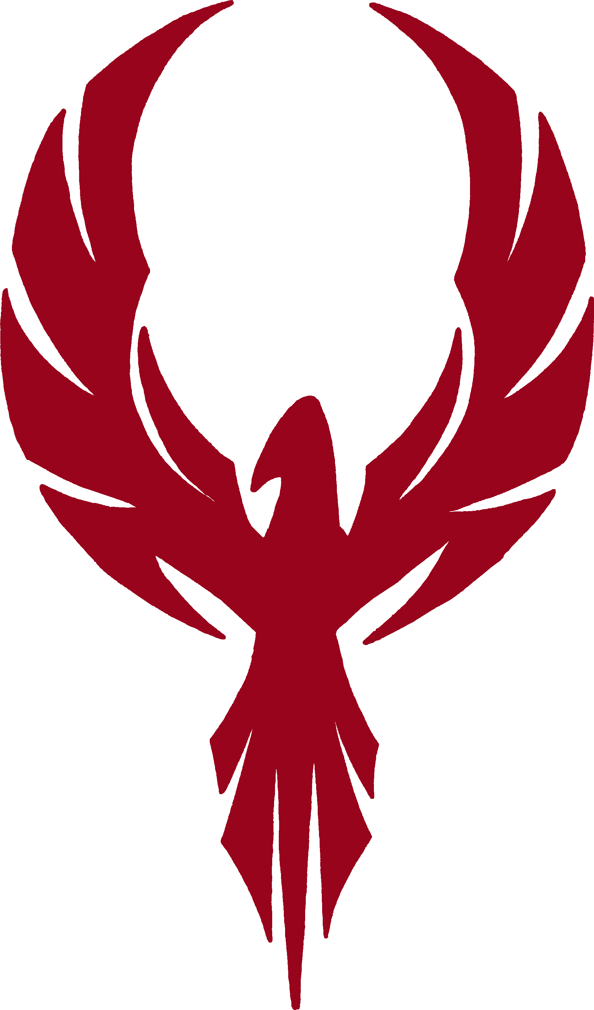 Tribal Phoenix Rebellion Spray - Tribal Phoenix, HD Png Download PNG with transparent background