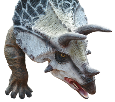 Triceratops_ Model_ Closeup