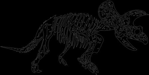 Triceratops Skeleton Outline