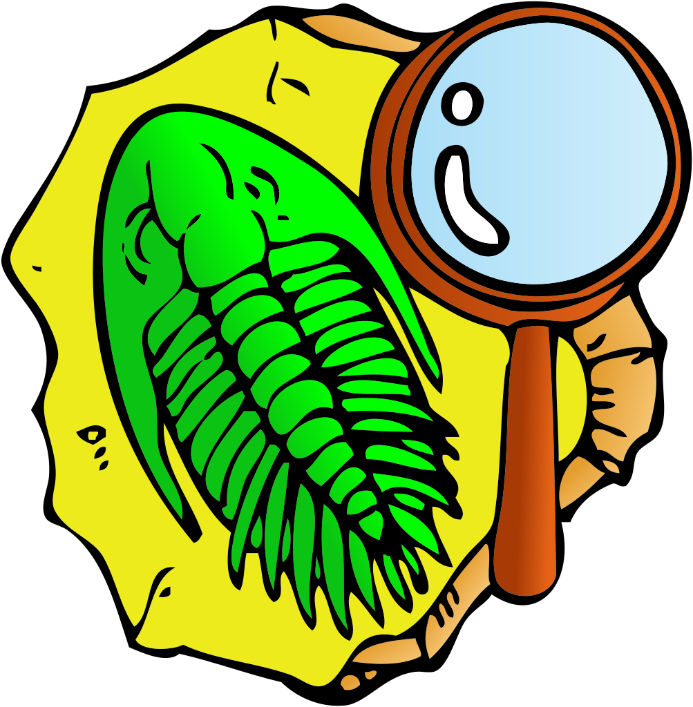 Fossil Clipart Artifact - Fossil Clip Art, HD Png Download PNG with transparent background