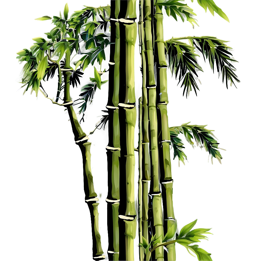 Tropical Bamboo Plants Png Vqd