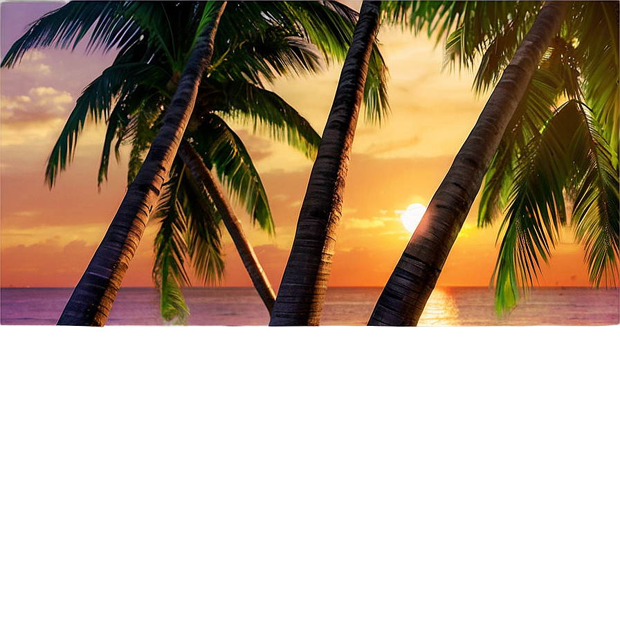 Tropical Beach Sunset Png Tnf25