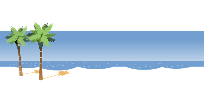 Tropical Beach Vector Illustration PNG with transparent background