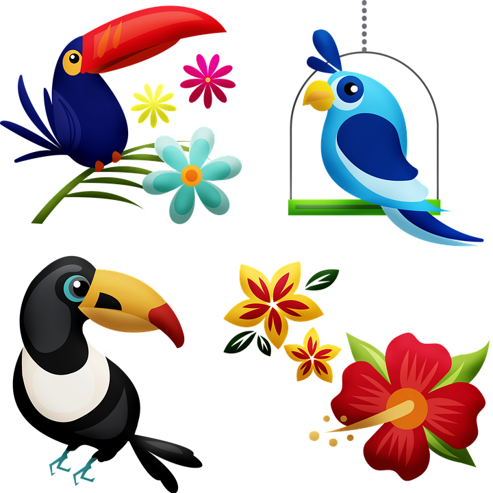 Tropical Birds, Toucan, Hibiscus, Bird, Rainforest - Cartoon Rainforest Birds, HD Png Download PNG with transparent background