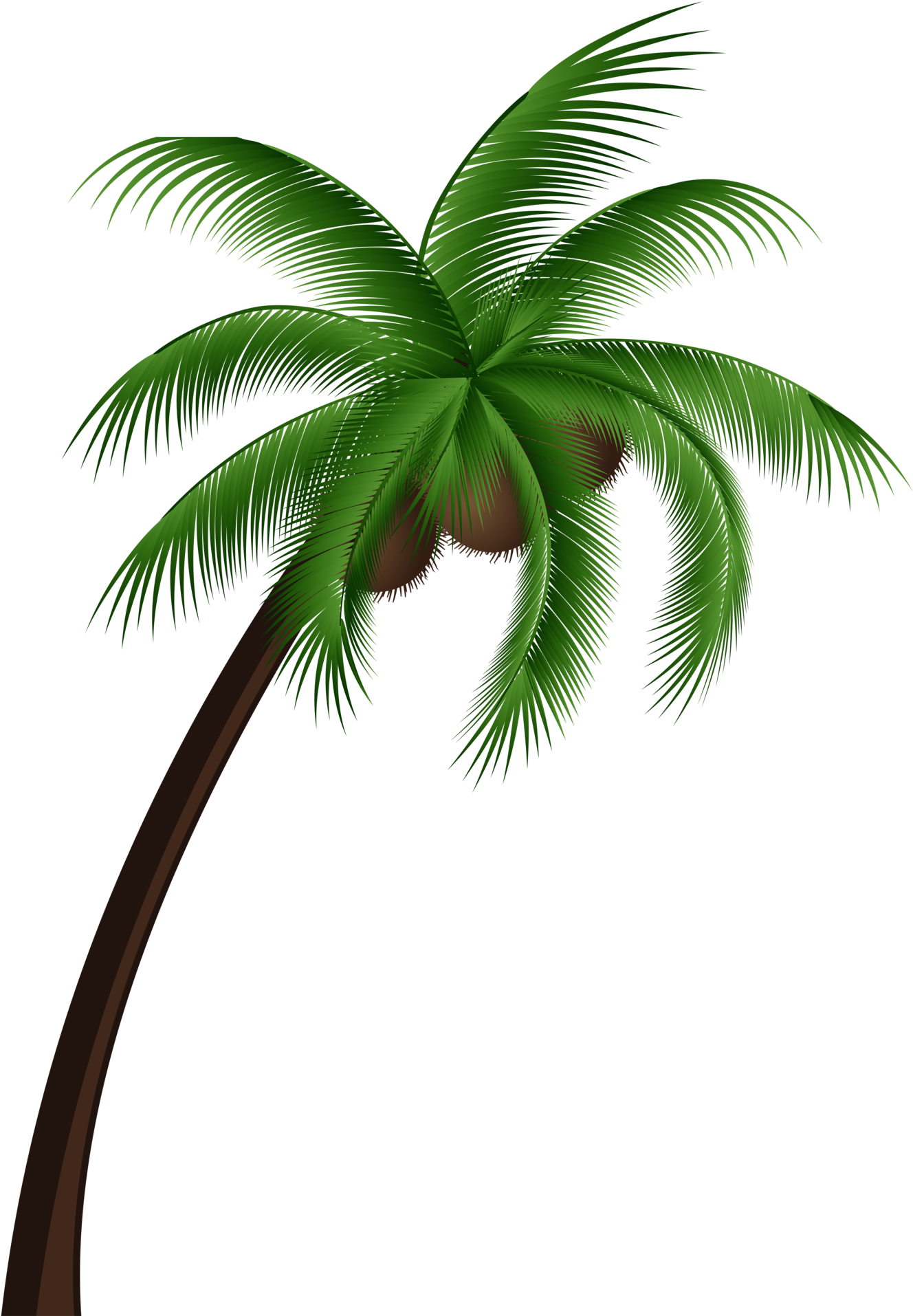 Coconut Palm Tree Png Clip Art - Coconut Oil For Dengue, Transparent Png PNG with transparent background