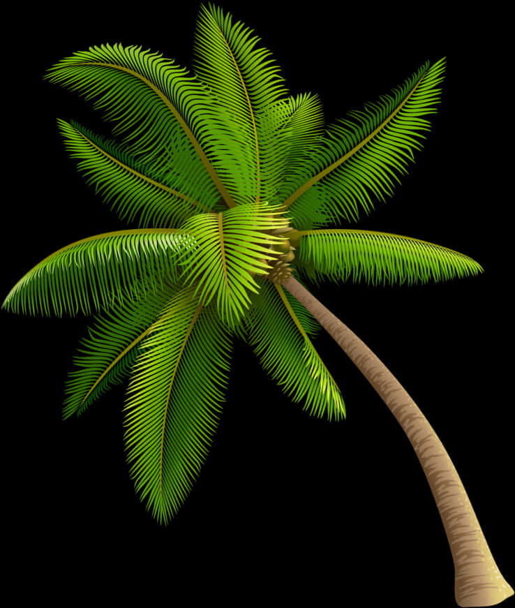 Tropical Coconut Tree Illustration