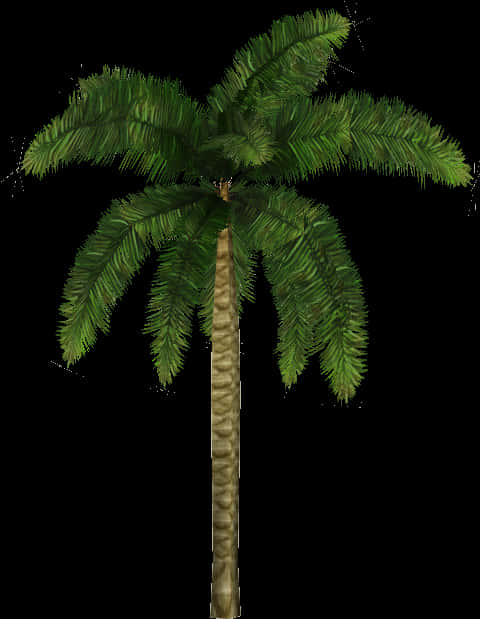 Tropical Coconut Tree Illustration