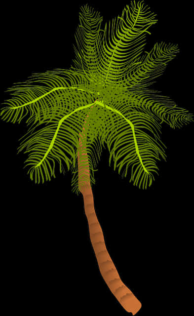 Tropical Coconut Tree Illustration