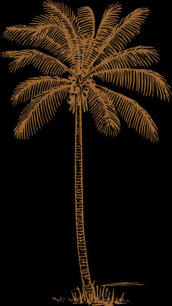 Tropical_ Coconut_ Tree_ Illustration