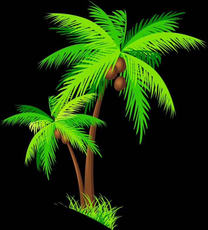 Tropical Coconut Trees Illustration