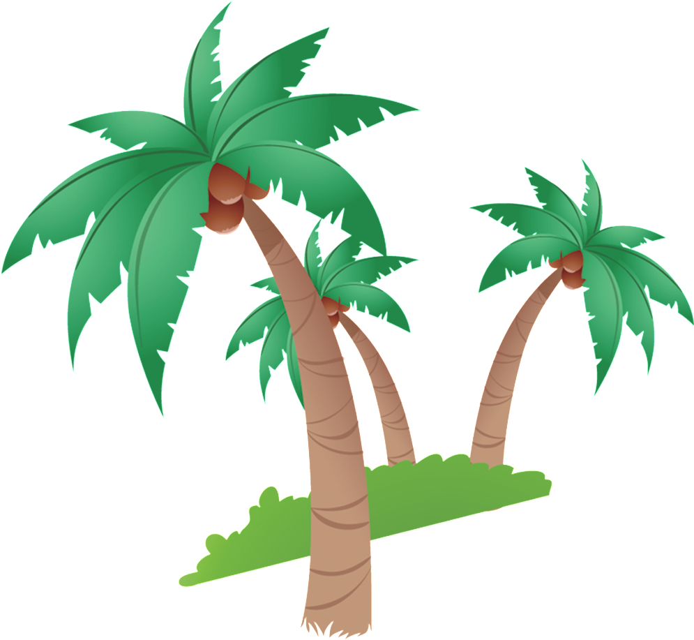Tropical_ Coconut_ Trees_ Vector PNG image with a transparent background, free high-resolution download