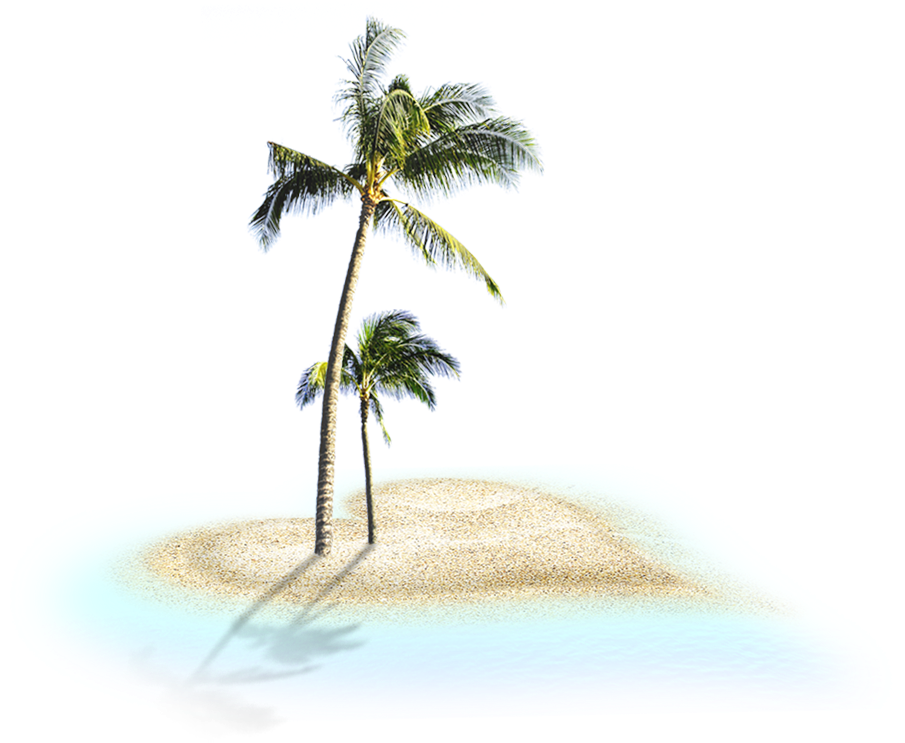 Tropical Coconut Treeson Island PNG image with a transparent background, free high-resolution download