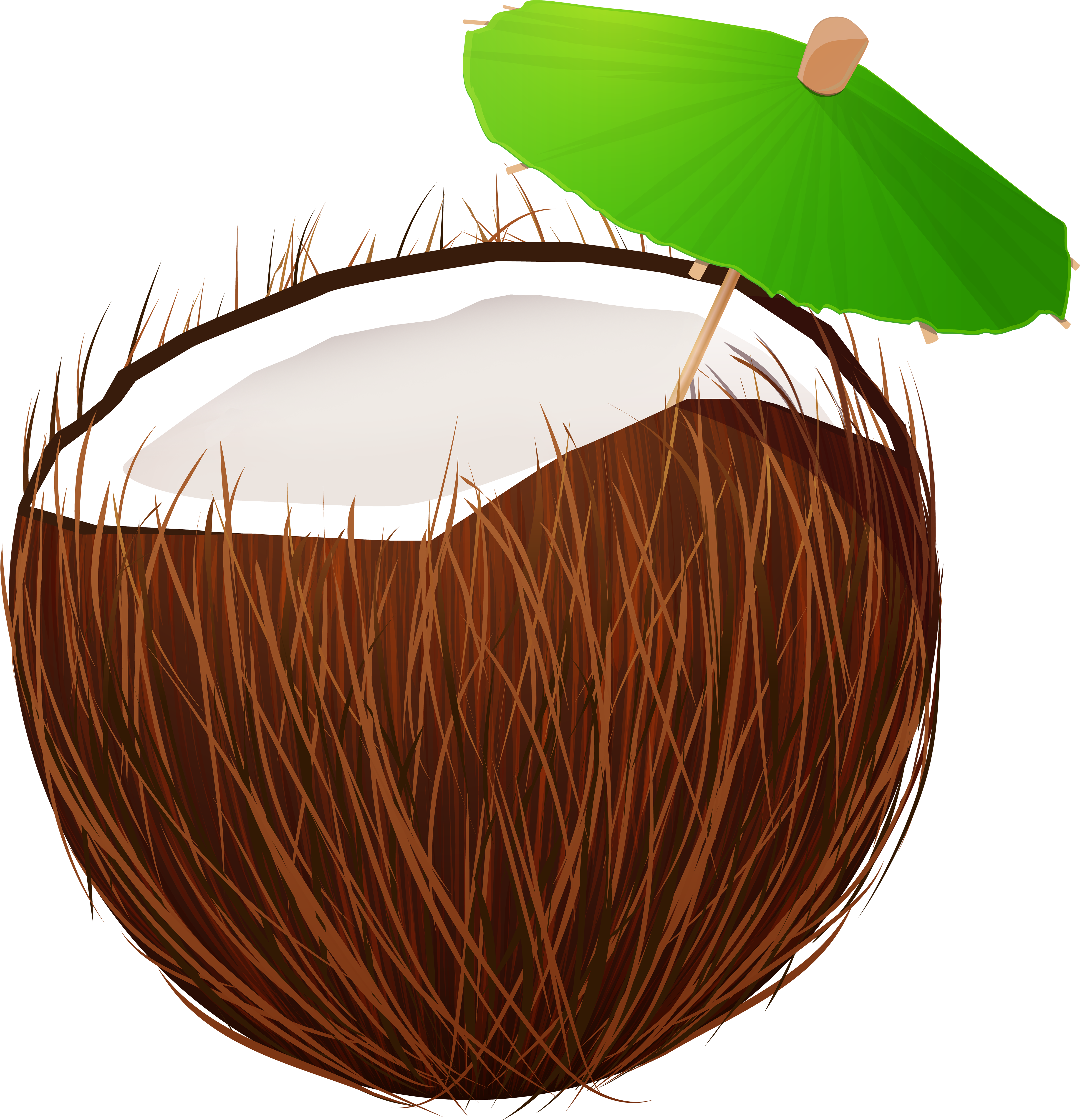 Tropical Coconut With Umbrella