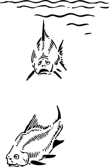 Tropical Fish Black Background.jpg PNG with transparent background