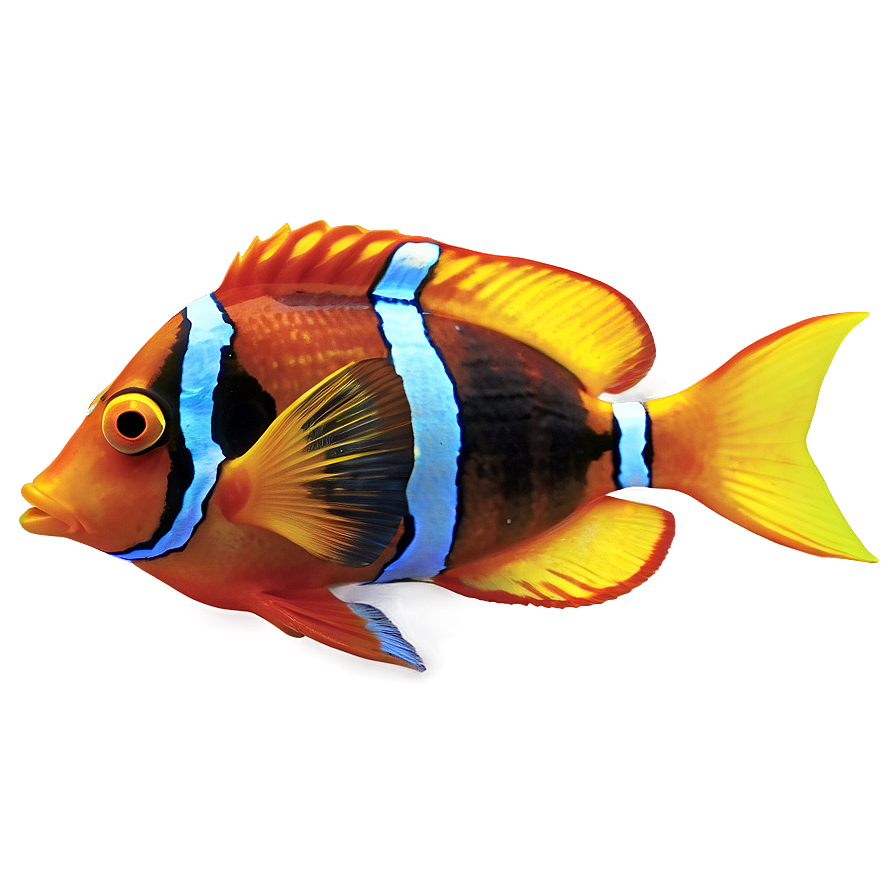 Tropical Fish PNG 05232024 PNG with transparent background