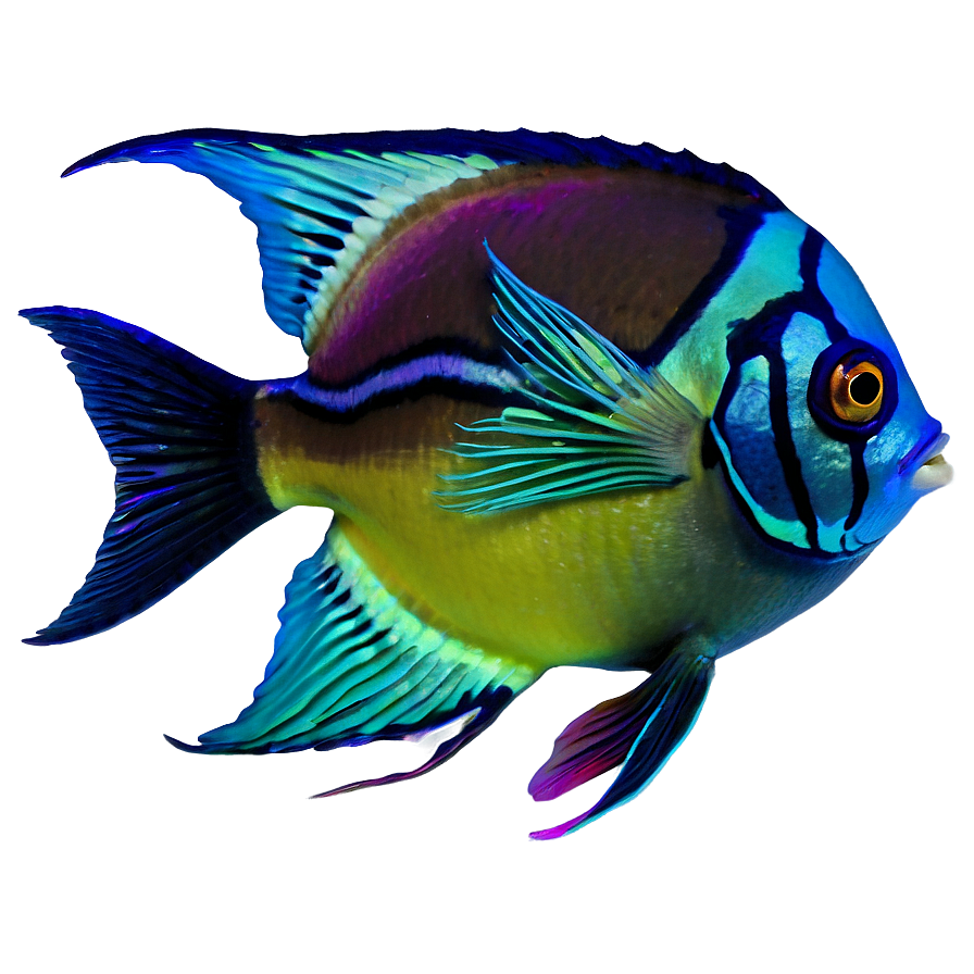 Tropical Fish Transparent Png Phr