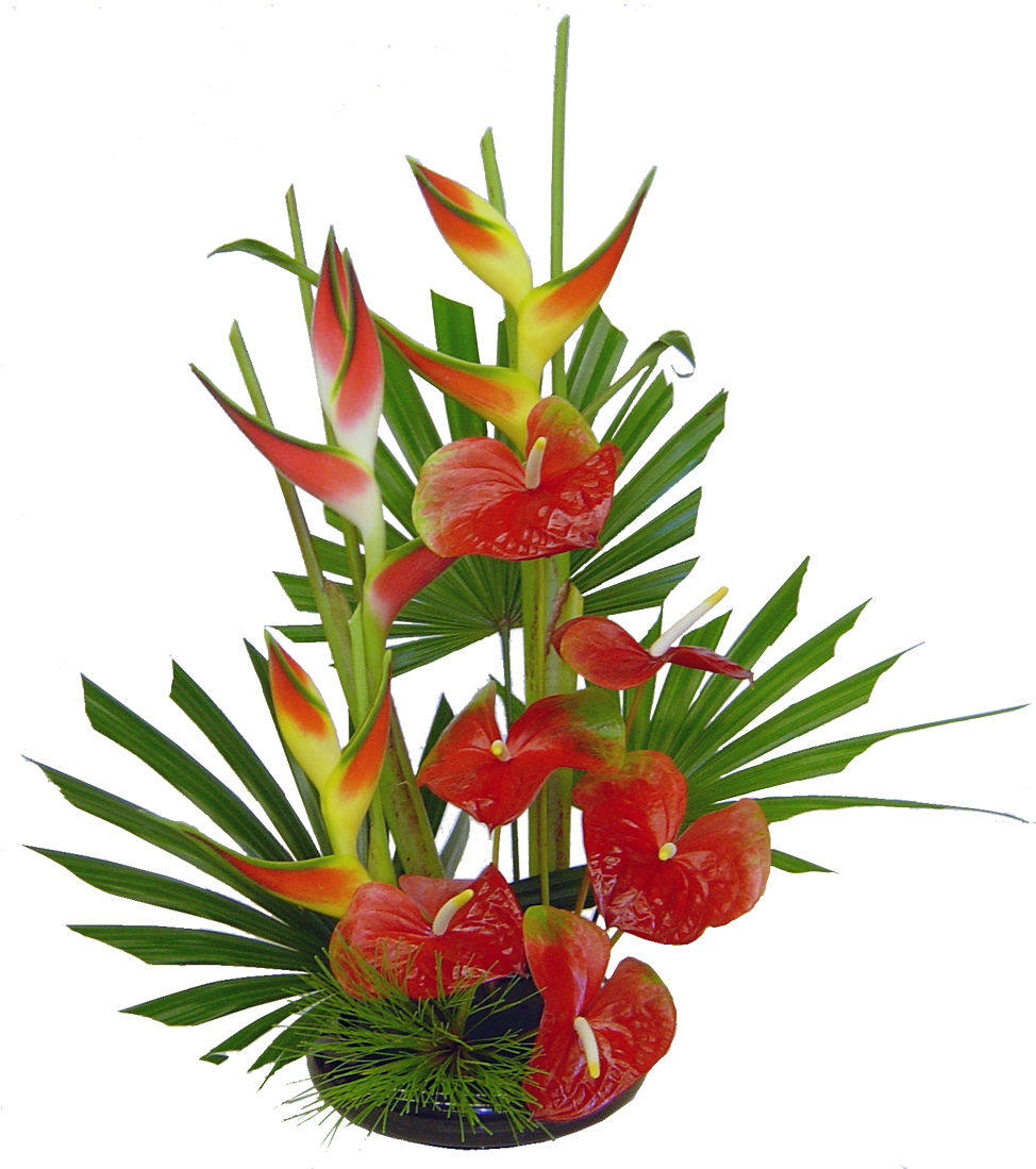 Tropical Flower Arrangements Ideas, HD Png Download PNG with transparent background