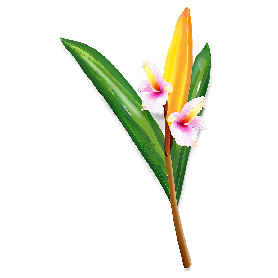 Tropical Flower Stem Png 16