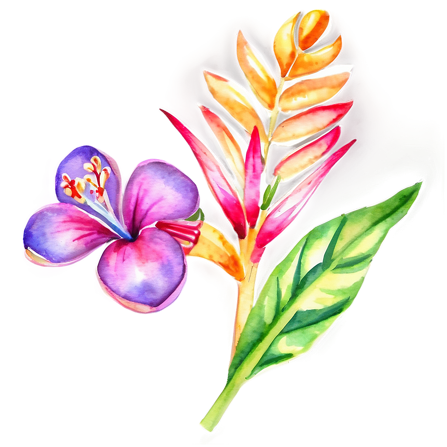 Tropical Flower Watercolor Png 66