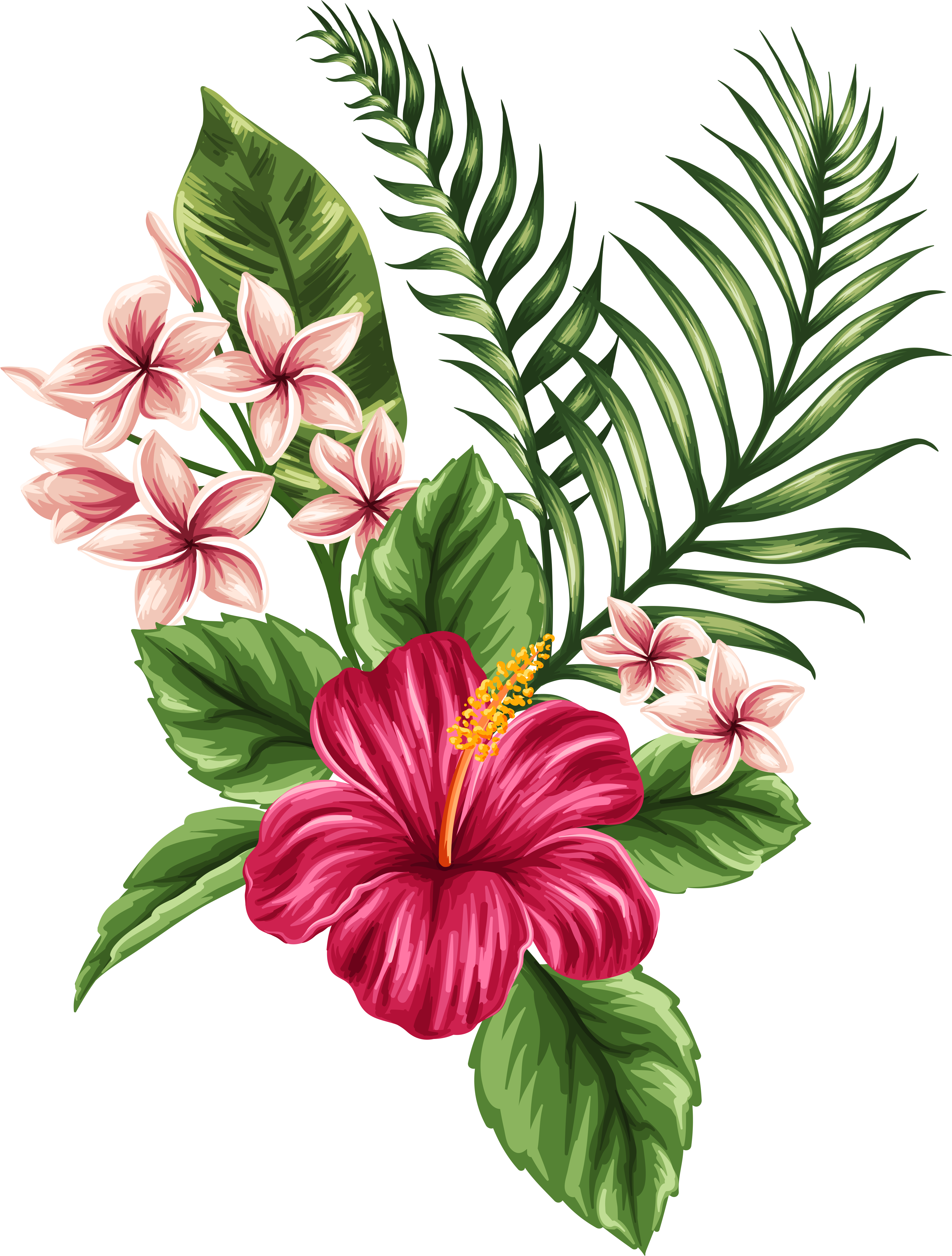 Svg Transparent Tropical Watercolor Flowers Leaves - Hibiscus Hawaiian Flower Drawing, HD Png Download PNG with transparent background