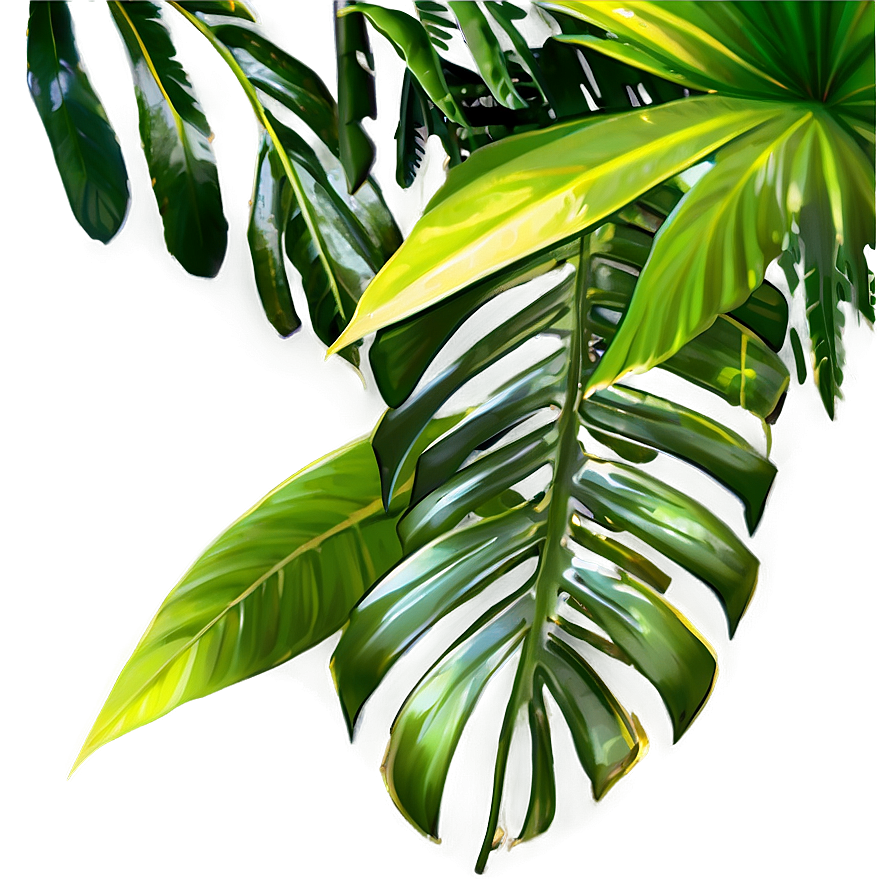 Tropical Foliage Png 67