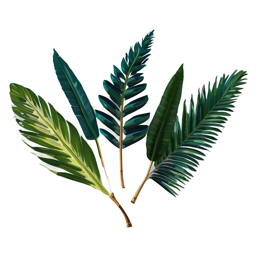 Tropical Foliage Png Qsy