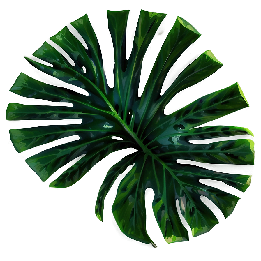 Tropical Foliage Png Rtg47