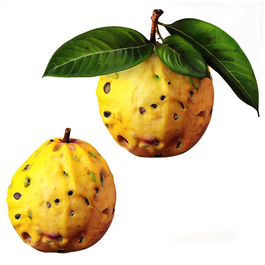 Tropical Fruit Set Png 05212024