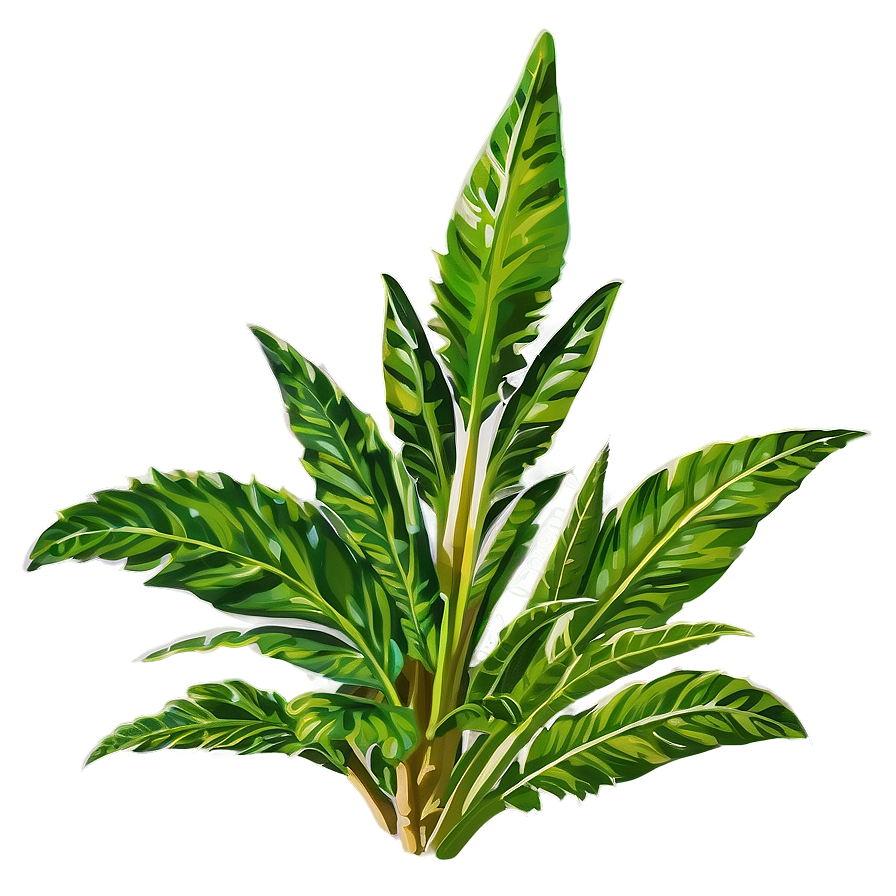 Tropical Herb Png Lji88