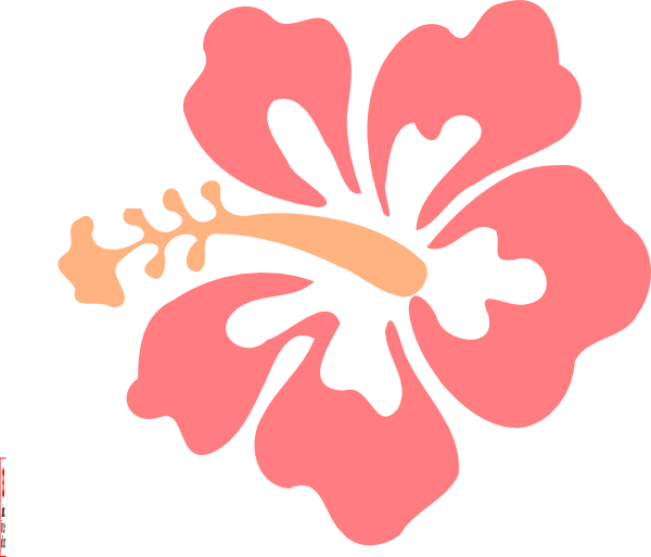 Tropical Hibiscus Flower Illustration PNG with transparent background