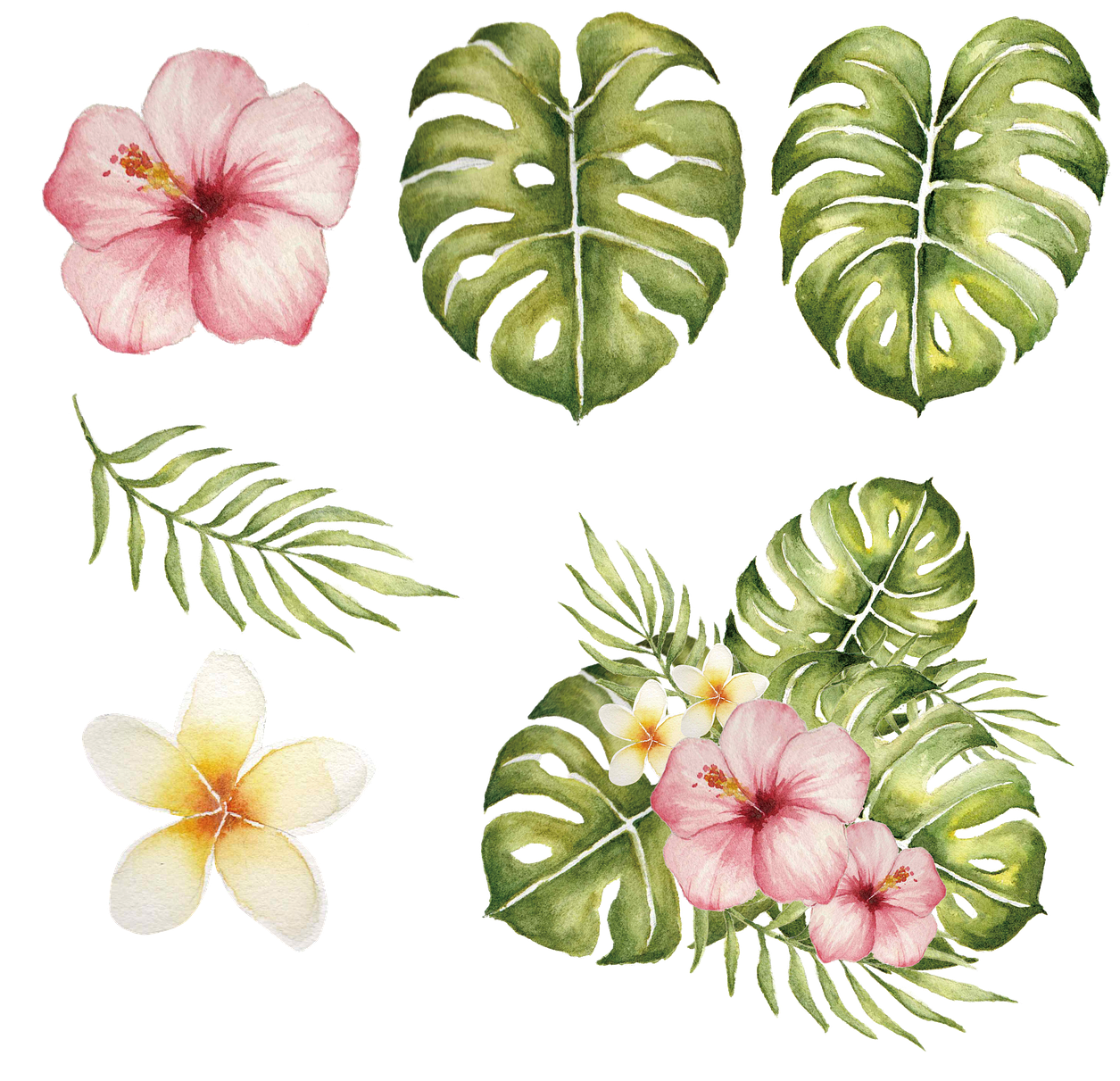 Tropical Hibiscusand Monstera Illustration PNG with transparent background