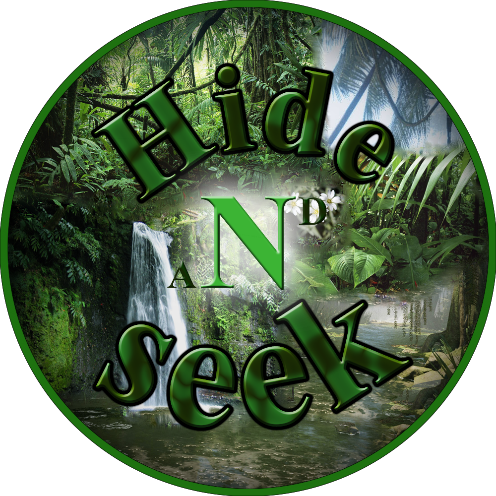 Hide And Seek Png, Transparent Png PNG with transparent background