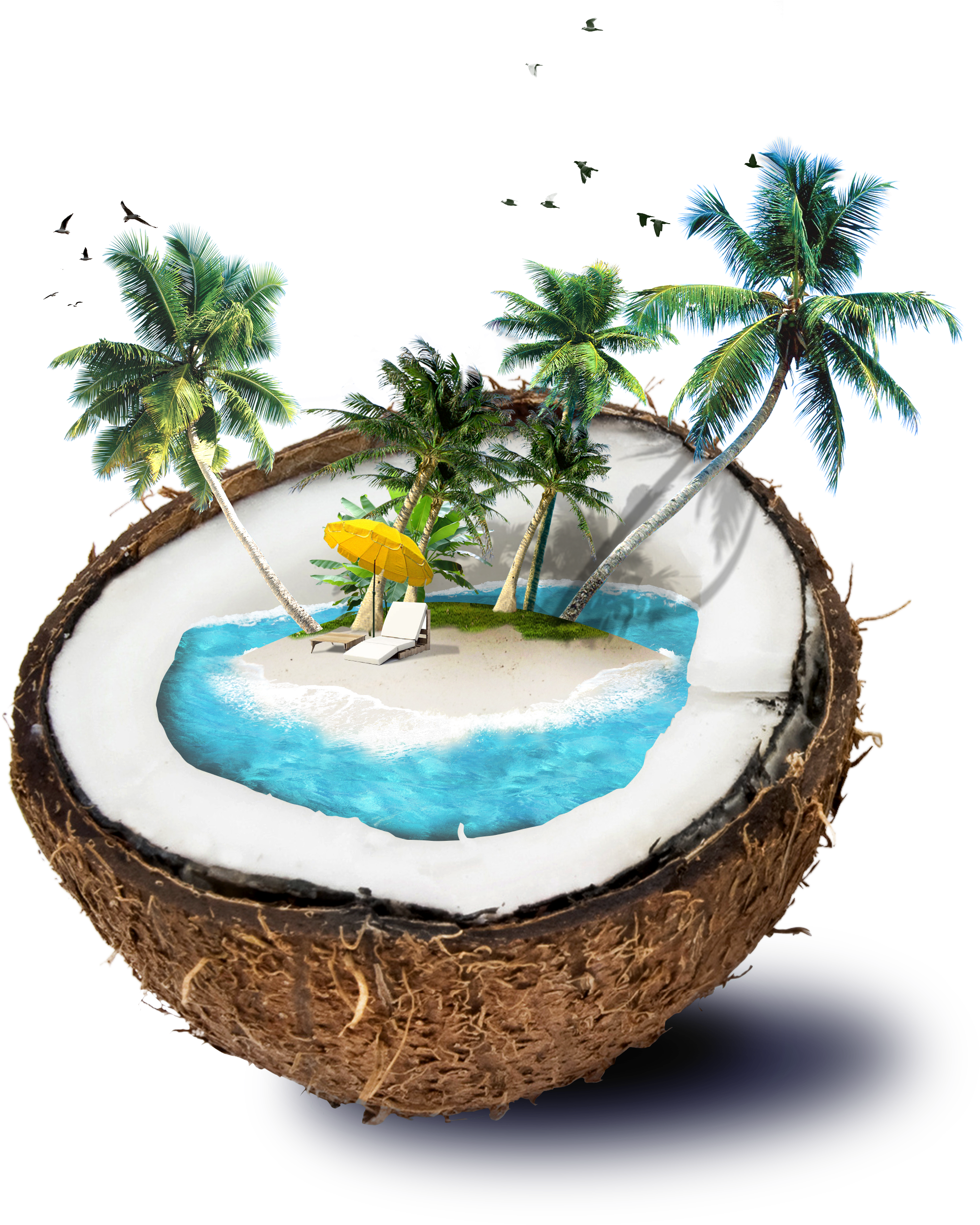 Good Morning With Coconut, HD Png Download PNG with transparent background