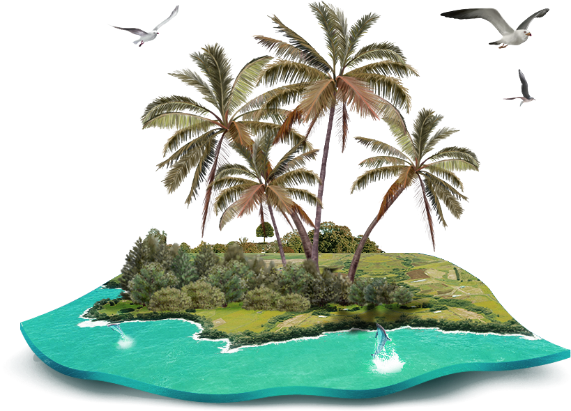 Tropical Island Oasis PNG with transparent background