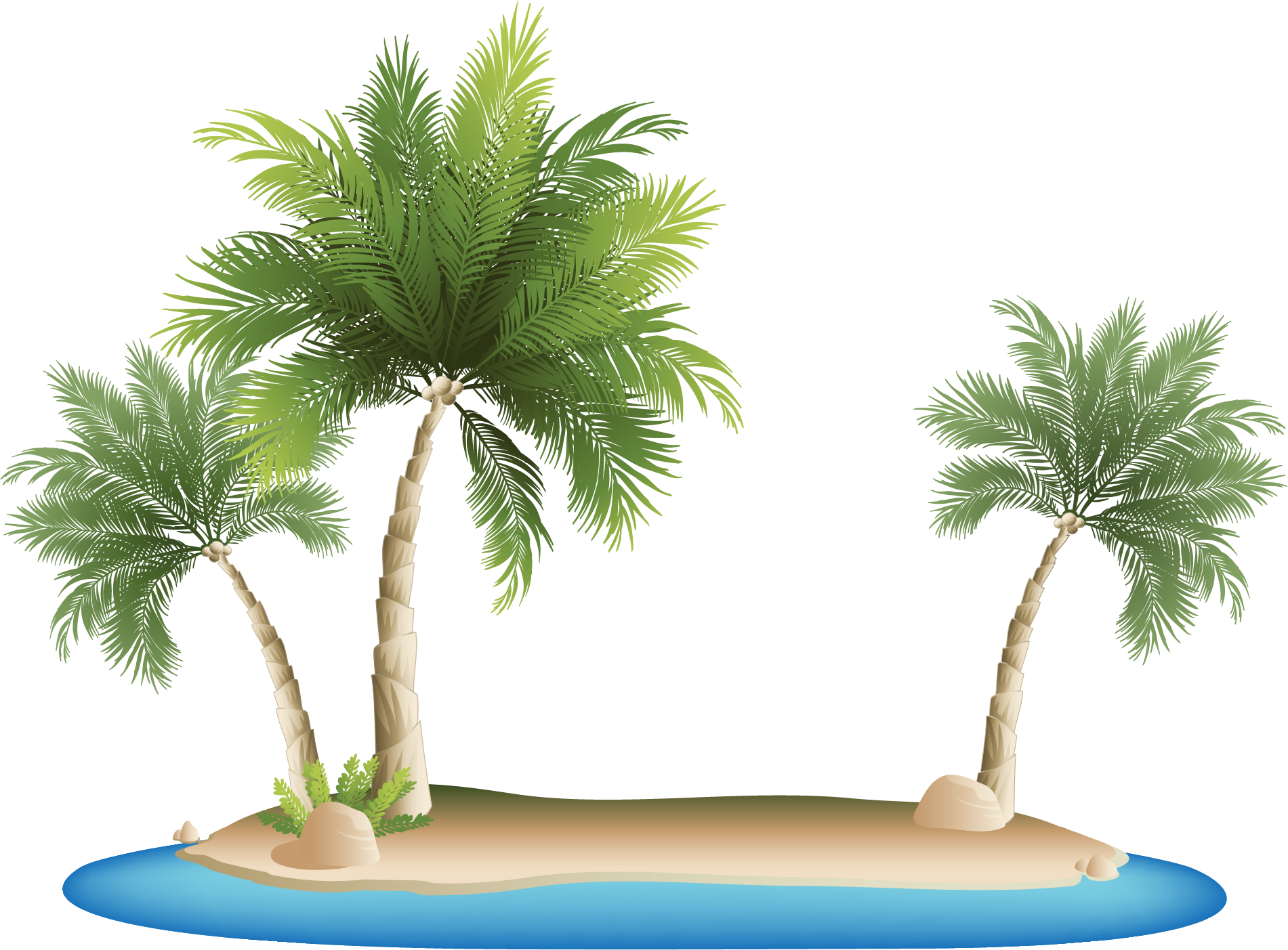 Tropical Island Palm Trees PNG with transparent background