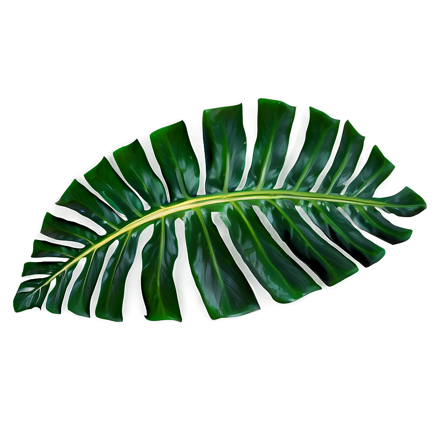 Tropical Leaf Accent Png Fas63